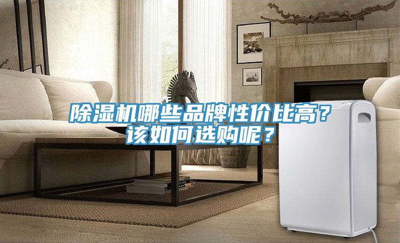 除濕機(jī)哪些品牌性價(jià)比高？該如何選購(gòu)呢？