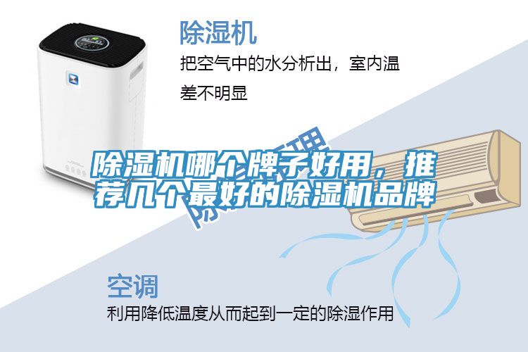 除濕機哪個牌子好用，推薦幾個最好的除濕機品牌