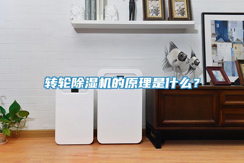 轉(zhuǎn)輪除濕機(jī)的原理是什么？