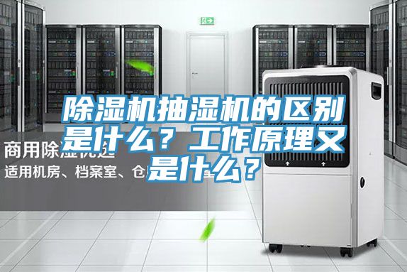 除濕機(jī)抽濕機(jī)的區(qū)別是什么？工作原理又是什么？