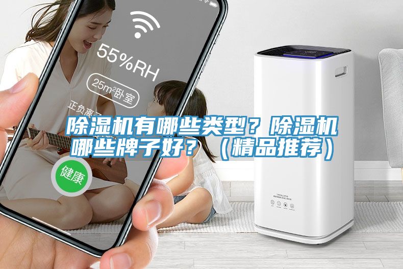 除濕機有哪些類型？除濕機哪些牌子好？（精品推薦）