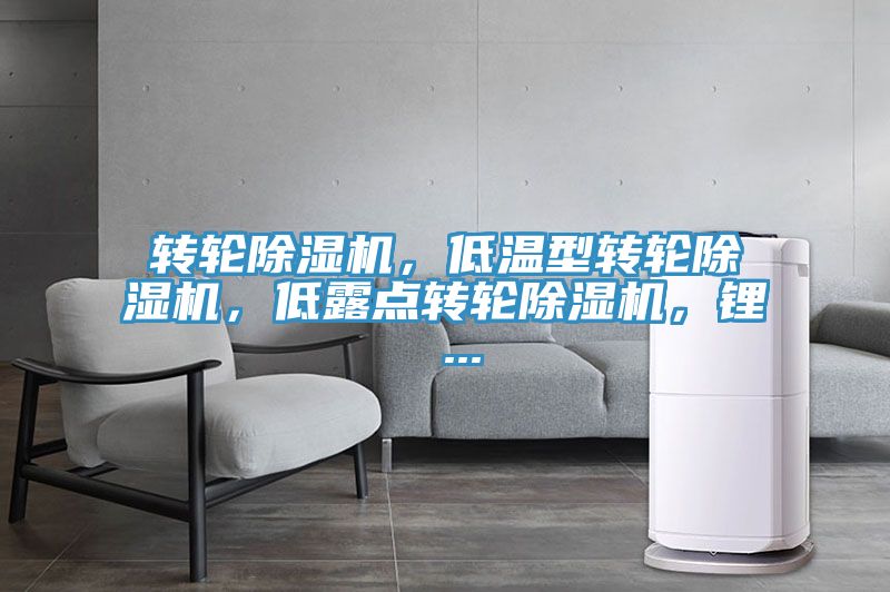 轉(zhuǎn)輪除濕機，低溫型轉(zhuǎn)輪除濕機，低露點轉(zhuǎn)輪除濕機，鋰 ...