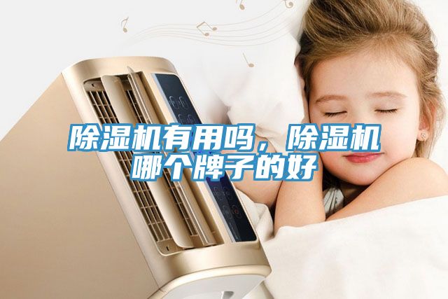 除濕機(jī)有用嗎，除濕機(jī)哪個(gè)牌子的好