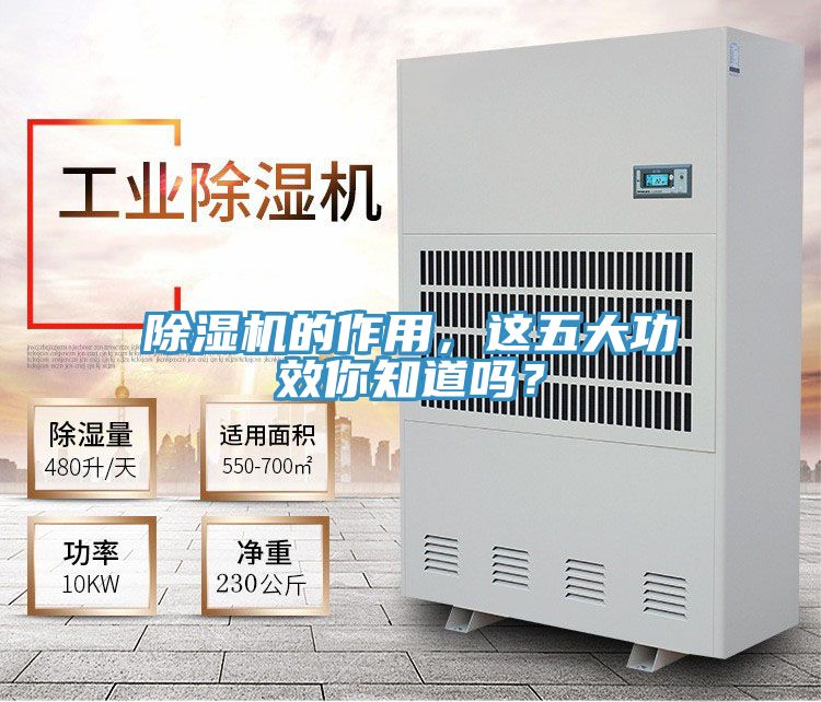 除濕機(jī)的作用，這五大功效你知道嗎？